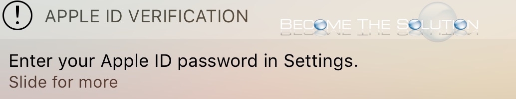 Enter your apple ID or password