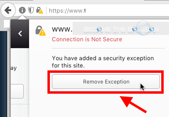 Firefox remove security exception