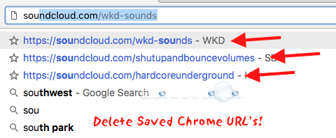 Delete Google Chrome Saved URL Mac