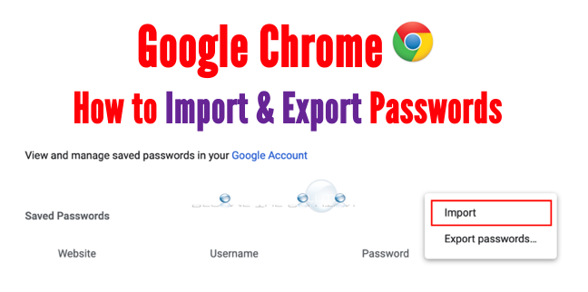 Export and Import Saved Google Chrome Passwords