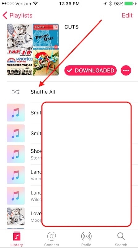 iPhone Shuffle All Playlist Button