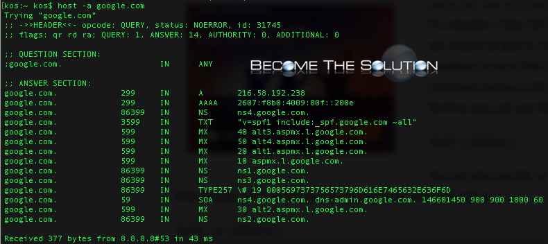 Mac terminal list host dns records google