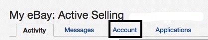 eBay Account Summary