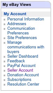 eBay My Views Seller Account