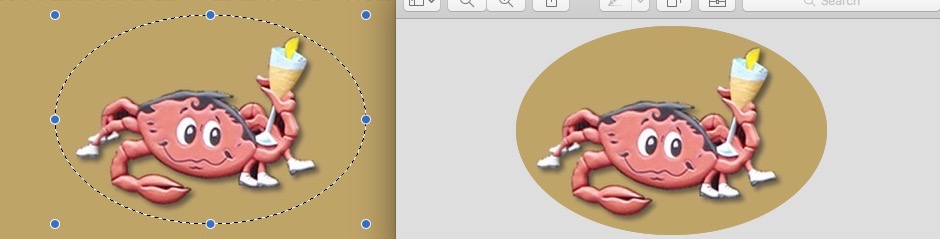 Mac X Copy Circle Image Preview