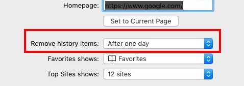 Safari Remove Browsing History One Day