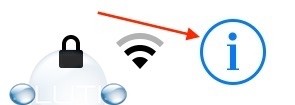 iPhone wireless network info