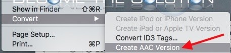 iTunes create aac version