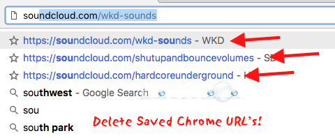 Easy: Remove Saved URL's from Google Chrome - Mac