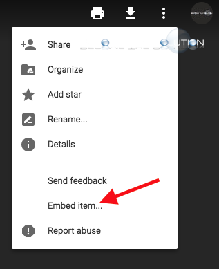 Google drive embed item