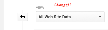 How To: Change Google Analytics “All Web Site Data” View Names