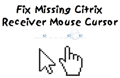 Fix: Citrix Receiver Disappearing Mouse Cursor