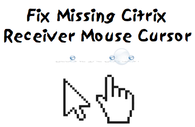 mouse locks up in citrix on mac mini