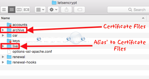 Lets encrypt certificate locations