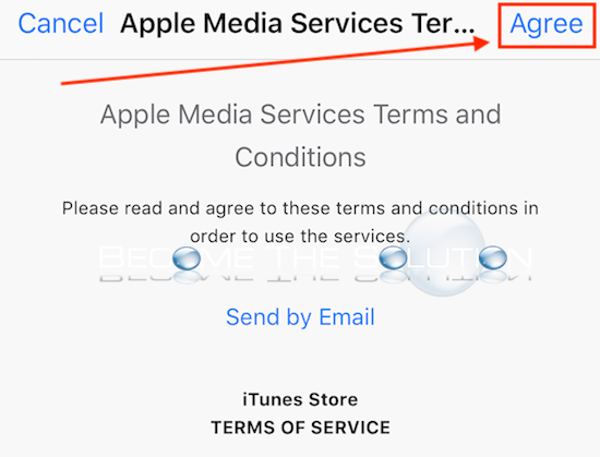 Accept apple media services terms of services itunes