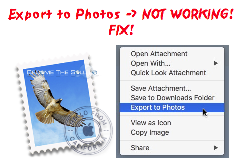 Fix: Mac Mail Export to Photos Not Working