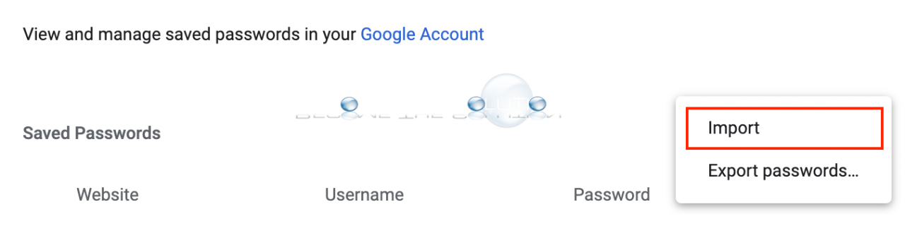 Google chrome password import option