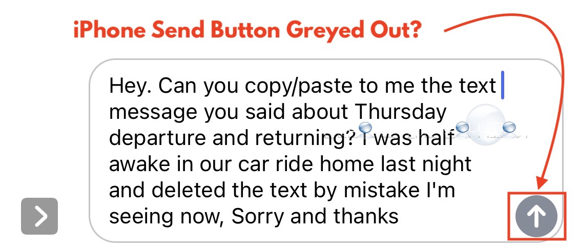iPhone Send Text Button Greyed Out? Fix.