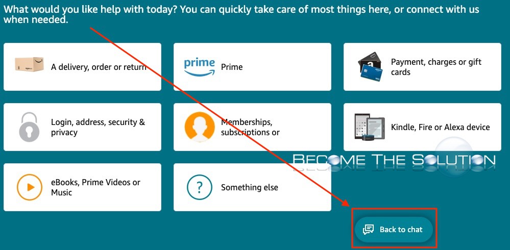 Amazon back to chat