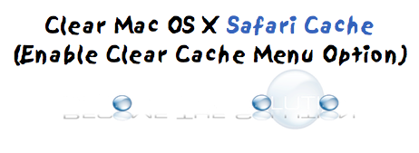 Safari Empty Cache (Latest Version of Safari)