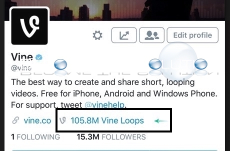 How To: Show Vine Loops Twitter