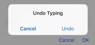 iPhone Undo Typing