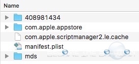 Delete App Store Files