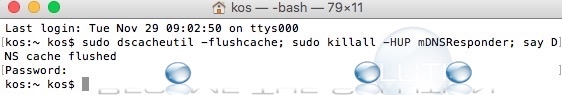 Flush DNS cache Mac x in terminal