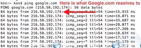 Mac dos ping to resolve ip address