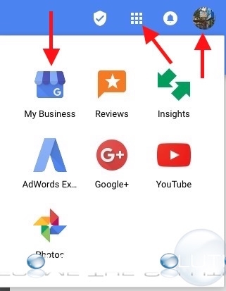 Google my business web property