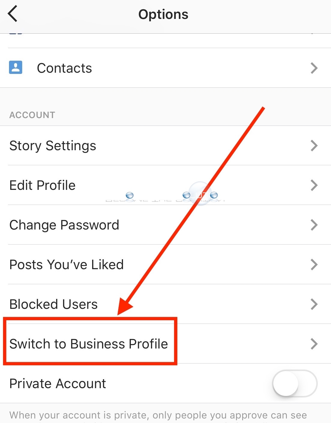 Instagram switch to business profile