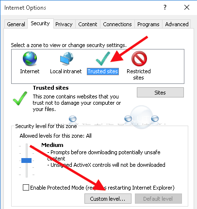 Internet explorer trusted sites custom level