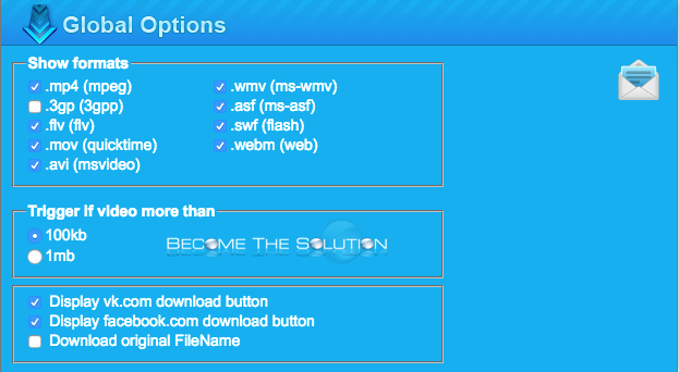 Flash video downloader options