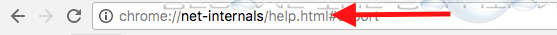 Google chrome net internals url