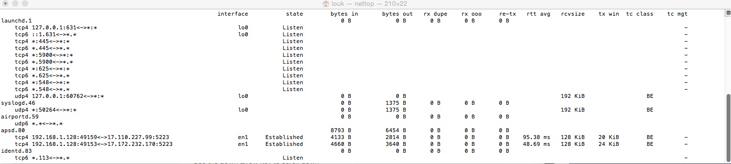 Mac X Terminal NETTOP