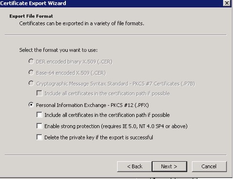 Cerificate Export Personal Information Windows